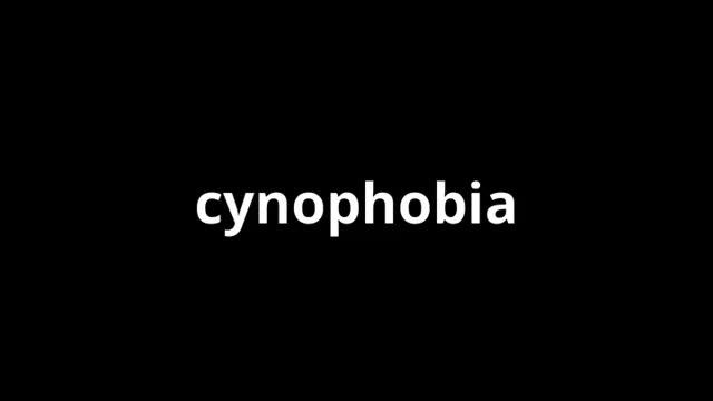 what is the meaning of cynophobia смотреть онлайн