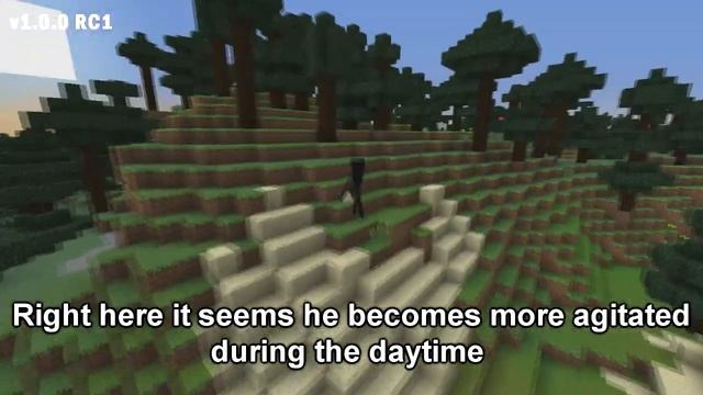 Evolution Of Enderman In Minecraft (2011 - 2019)
