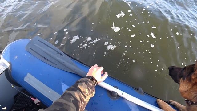 Уплыли жить на Остров. Еле выбрались обратно! смотреть онлайн