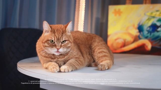 Умные квартиры от ГК "Зеленый сад". Кот Леонид смотреть онлайн