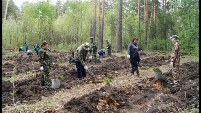 Всемирный день леса смотреть онлайн