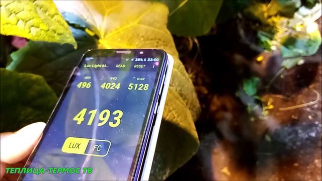 ДОСВЕТКА РАСТЕНИЙ??//СВЕТОВОЙ ПОТОК//ЛЮКСЫ//?ЛАМПЫ ДНаЗ, ДРиЗ и ФИТОМАТРИЦЫ смотреть онлайн