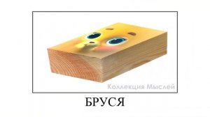 Кошечки-собачки + ШИЗА =