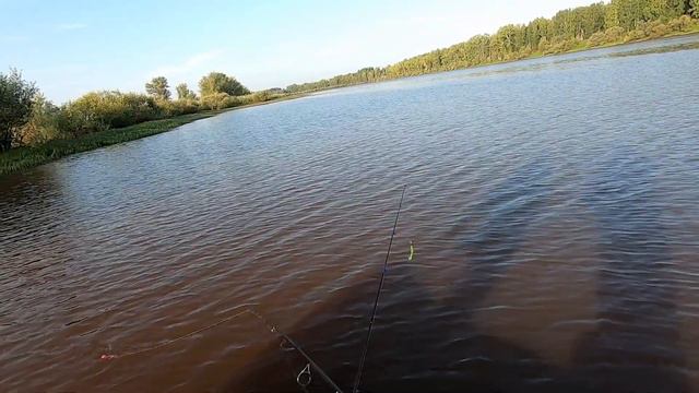 #ночёвканареке#щуки#рыбалканаспиннинг# смотреть онлайн