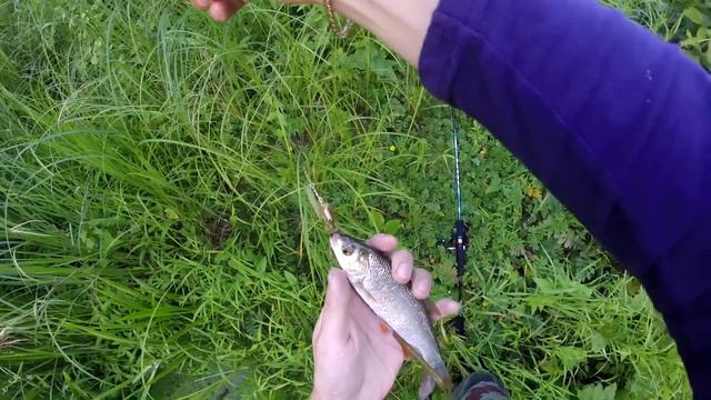 Микроручей. Прогулка после работы смотреть онлайн