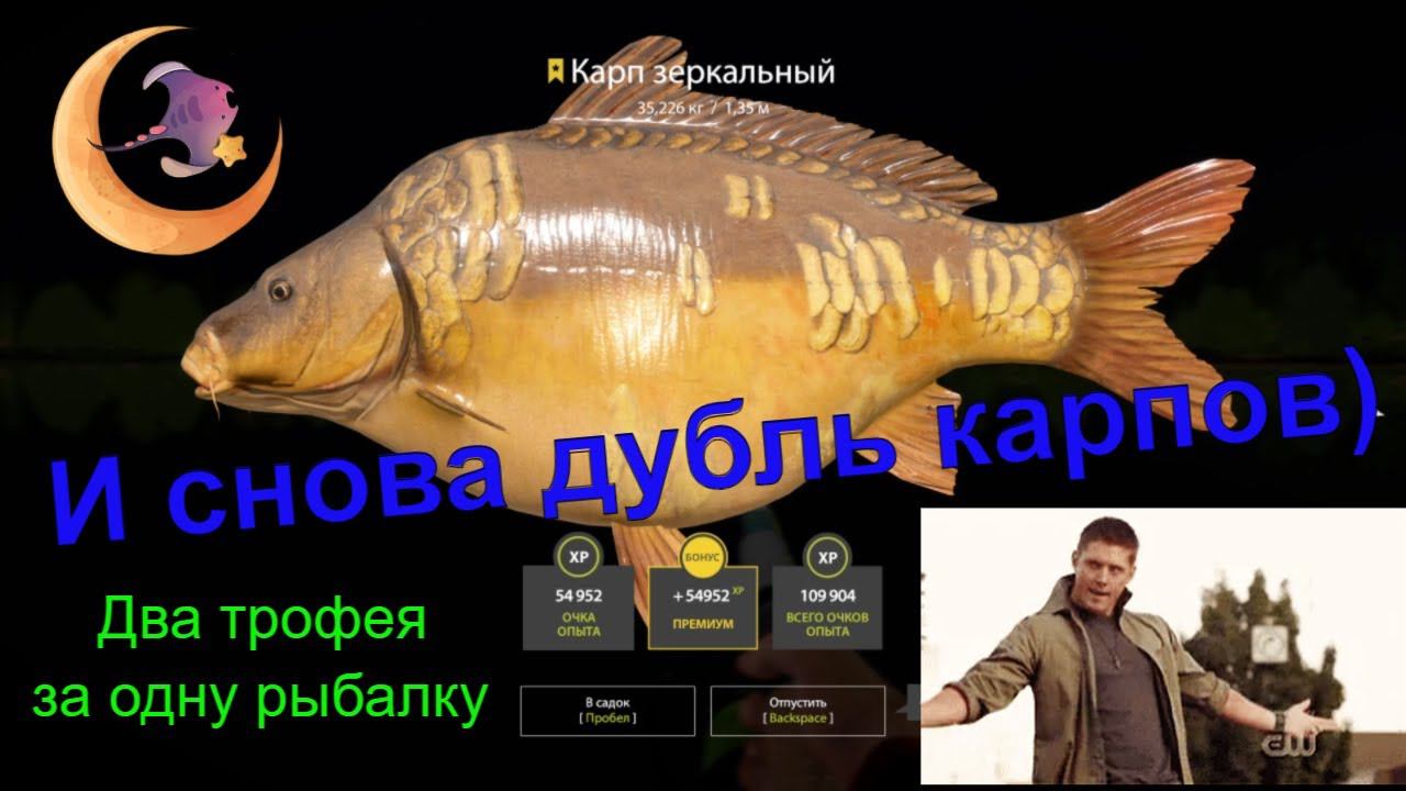 ДВА ТРОФЕЙНЫХ КАРПА НАБЕГ НА ТОЧКУ ЯНТАРНОЕ#rf4#русскаярыбалка4#рр4