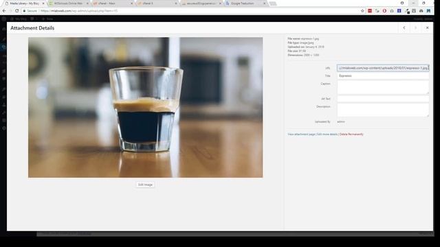 Wordpress : How To Get The URL Of Yours Images смотреть онлайн