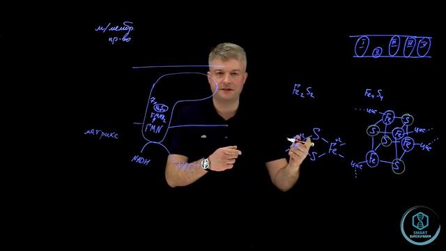 SmartБиохимия - Марафон - День 4.Строение NADH дегидрогеназы смотреть онлайн