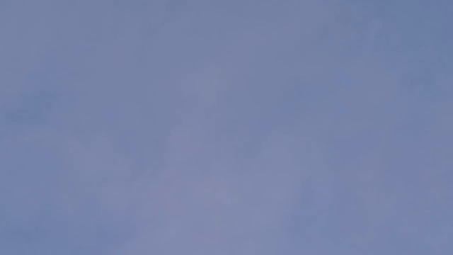 Дневной гон Арм. бойных голубей! 23.12.17г смотреть онлайн