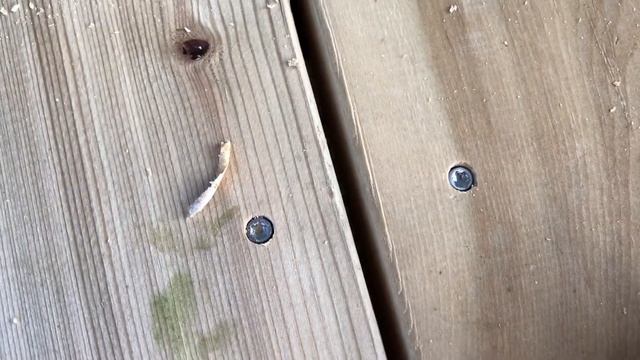 Шуруп (саморез) для террасной доски (Rusconnect) в деле. Конструкционный шуруп