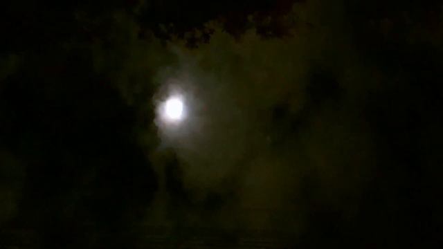 Fifty Years (Lyra 8, Fang synth, Audiomulch) смотреть онлайн