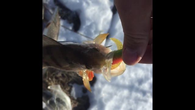 Рыбалка на Москва реке. смотреть онлайн