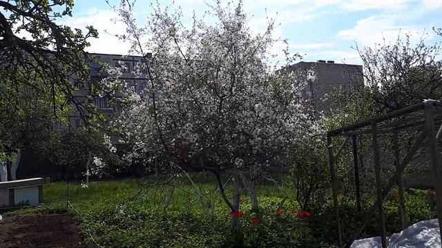 Домовой Уют