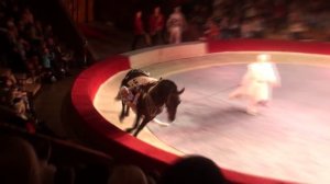 Circus. Acrobats on tne horses.  Цирк. Акробаты на лошадях.