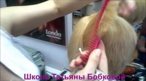 Виды филировки Пойнтинг Пойнткат Выщип Преподаватель Андреева С.А.