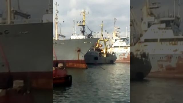 Мастер морской парковки... смотреть онлайн