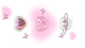 Jah Khalid - хочешь каблука найди себе другого парня speed up ?