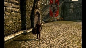 Skyrim  Прикол 30