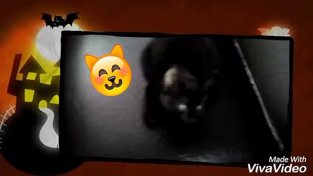 Сразу 3 видео смотреть онлайн
