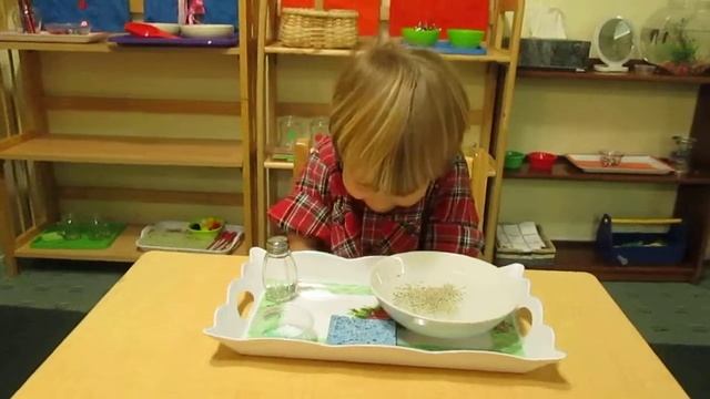 Montessori child doing science experiment-run away pepper смотреть онлайн