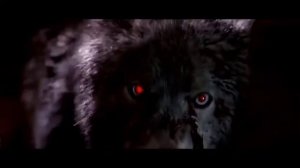 А мы не ангелы, парень