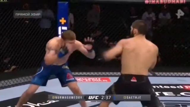 Бой Хабиб Нурмагамедов vs Дастин Гейҷи смотреть онлайн
