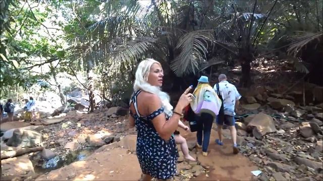 ИНДИЯ , ГОА: ВОДОПАД ДУДХСАГАР - ТАКОГО МЫ НЕ ОЖИДАЛИ !! DUDHSAGAR WATERFALL, INDIA, GOA смотреть онлайн