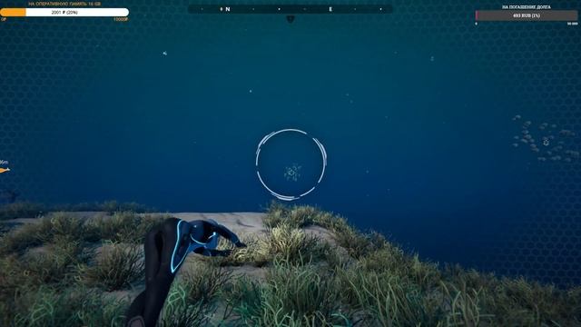 Beyond Blue [4k/2160p60fps](PC) - По ту сторону Голубого Деда)НОВИНКА!!! смотреть онлайн