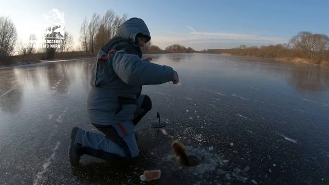 БОЛЬШОЙ УЛОВ VLOG: Ловля щуки со ЛЬДА ЗИМОЙ