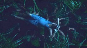 В высокой траве (краткий пересказ фильма)