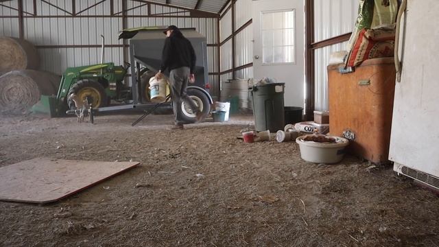 Do NOT Leave the Barn Door OPEN!!! смотреть онлайн