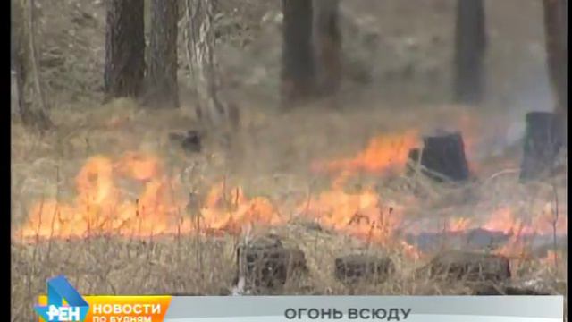 Иркутская область лидирует по площади пожаров в России. Огонь захватил более 4 тысяч гектаров смотреть онлайн