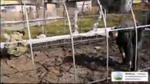 Монтаж теплицы длиной 8 метров из профиля 20х20 с шагом дуги 67 см