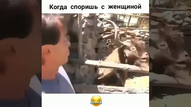 Женщина - главная в доме! смотреть онлайн