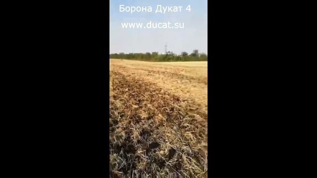 Дисковая борона Дукат 4 с трактором Беларус 1221 в Выселковском районе Краснодарского края. смотреть онлайн