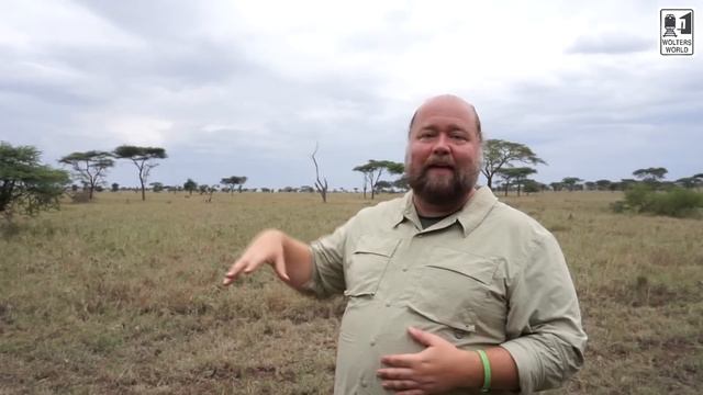 Safari Travel: What to Know Before You Go on an African Safari смотреть онлайн