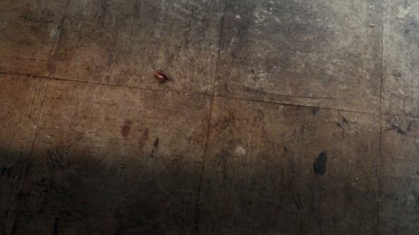 Эйс Вентура/Ace Ventura - 1 часть | Приколы, смешные моменты