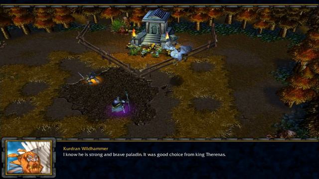 Warcraft 3: Run Wild the Sky: Brotherly Council смотреть онлайн