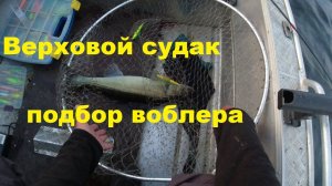 Подбор воблера на верхового судака в июле