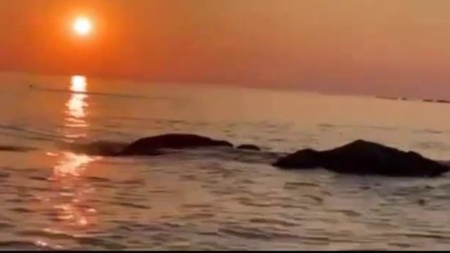 Лирические песни востока! смотреть онлайн