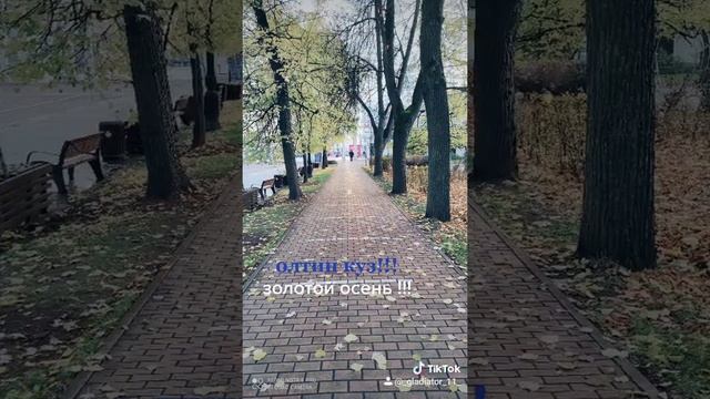 МОСКВА ПАРК СОКОЛЬНИКИ 22 ноября 2020 г. смотреть онлайн