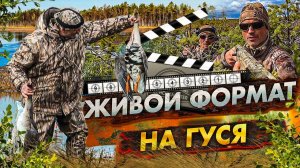 ? ВЕСЕННЯЯ ОХОТА НА БОЛОТЕ| ДЕЛИМСЯ ОПЫТОМ| ЖИВОЙ ФОРМАТ