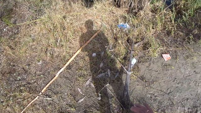 Рыбалка на паук с подводной камерой!!! Летняя рыбалка 2022 г.алка на паук с подводной камерой!!! Лет смотреть онлайн