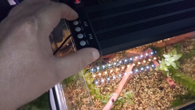 Светильник с АлиЭкспресс NICREW 40А (24/7) смотреть онлайн