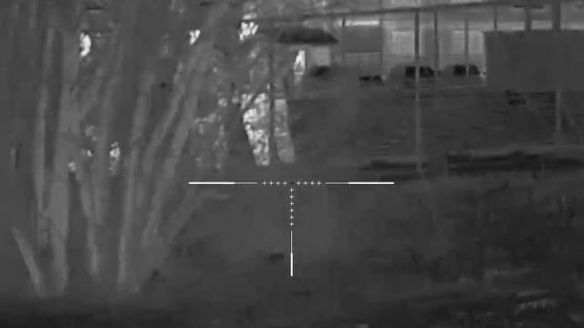 Geni 35 смотреть онлайн