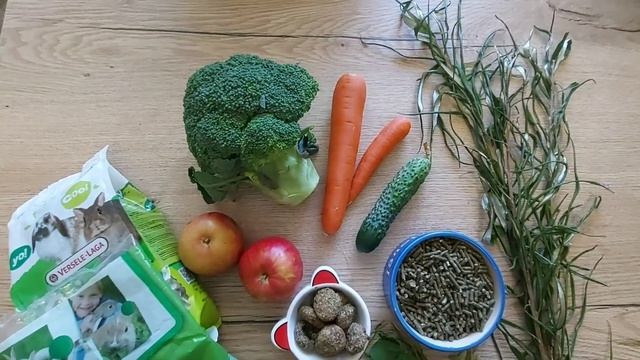 Чем кормить декоративного кролика. Что можно а что нельзя давать кролику. смотреть онлайн