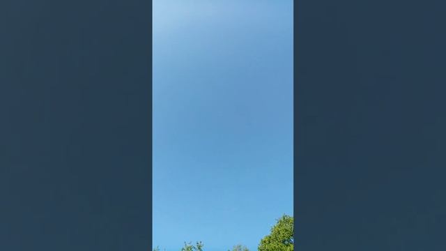 ижевские и пермские голуби утро гон 160523 смотреть онлайн