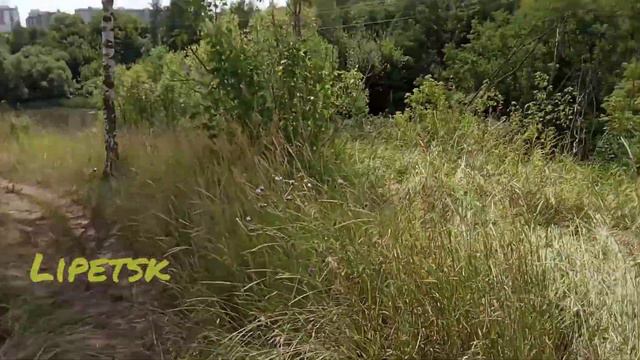 Влог-бродилка: 