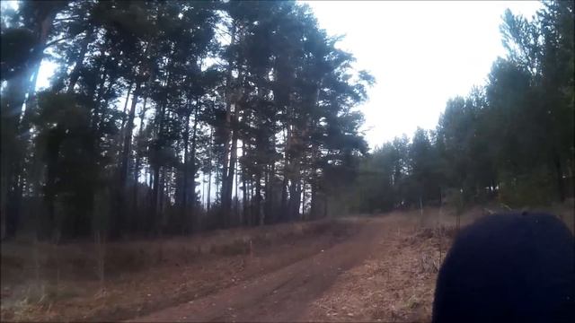 В тайгу за черемшой на драндулете!)) смотреть онлайн