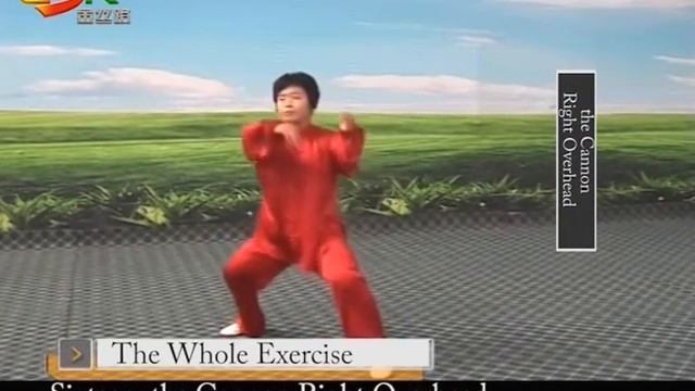 Chen Style Taichi 18 Movements 5